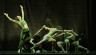 Cirque contemporain_dance_Schmuckbild